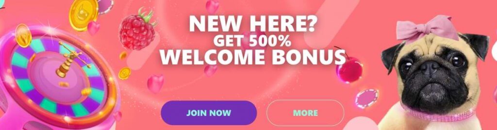 spin pug casino welcome bonus